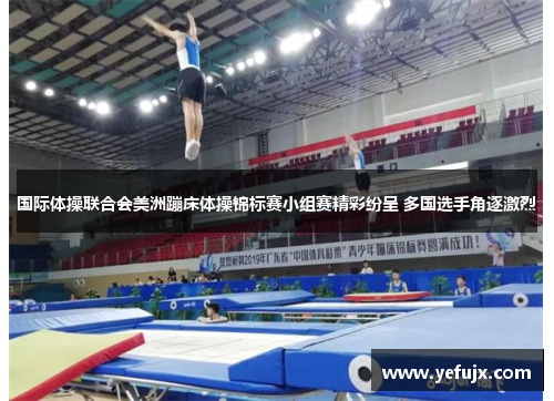 国际体操联合会美洲蹦床体操锦标赛小组赛精彩纷呈 多国选手角逐激烈