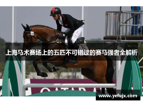 上海马术赛场上的五匹不可错过的赛马强者全解析